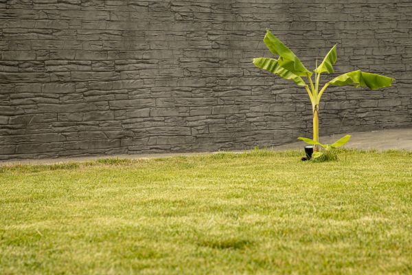 Decorative Wall Installation